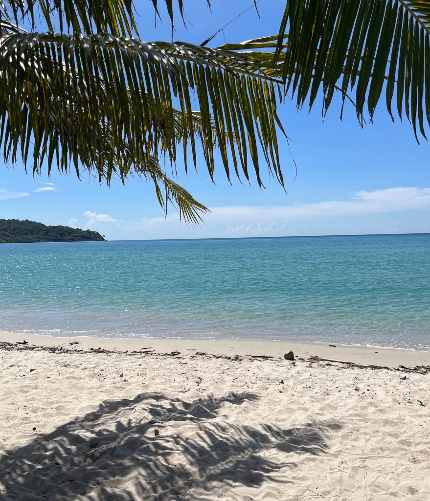 Beautiful beach with white sand and palm trees