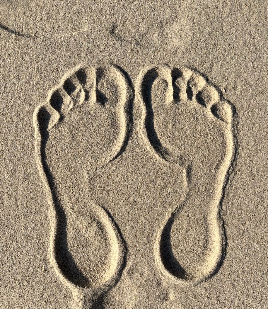 Feet in sand