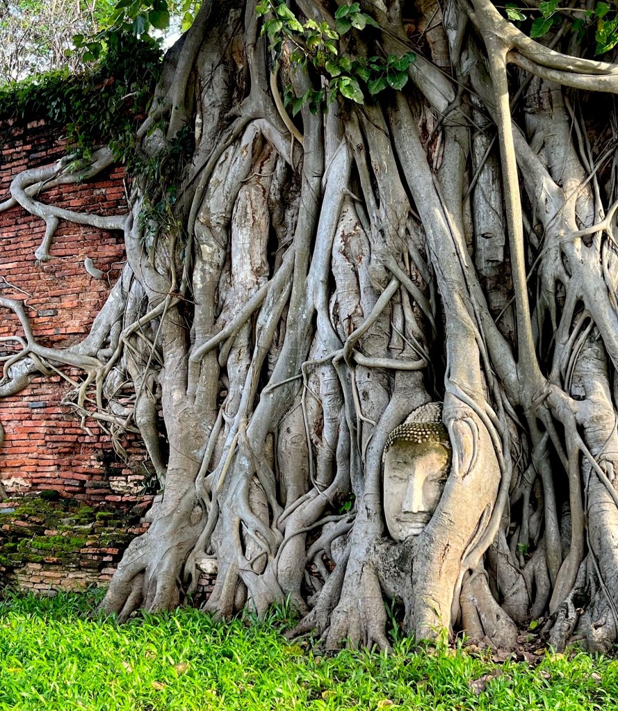Buddha's head in Ayutthaya